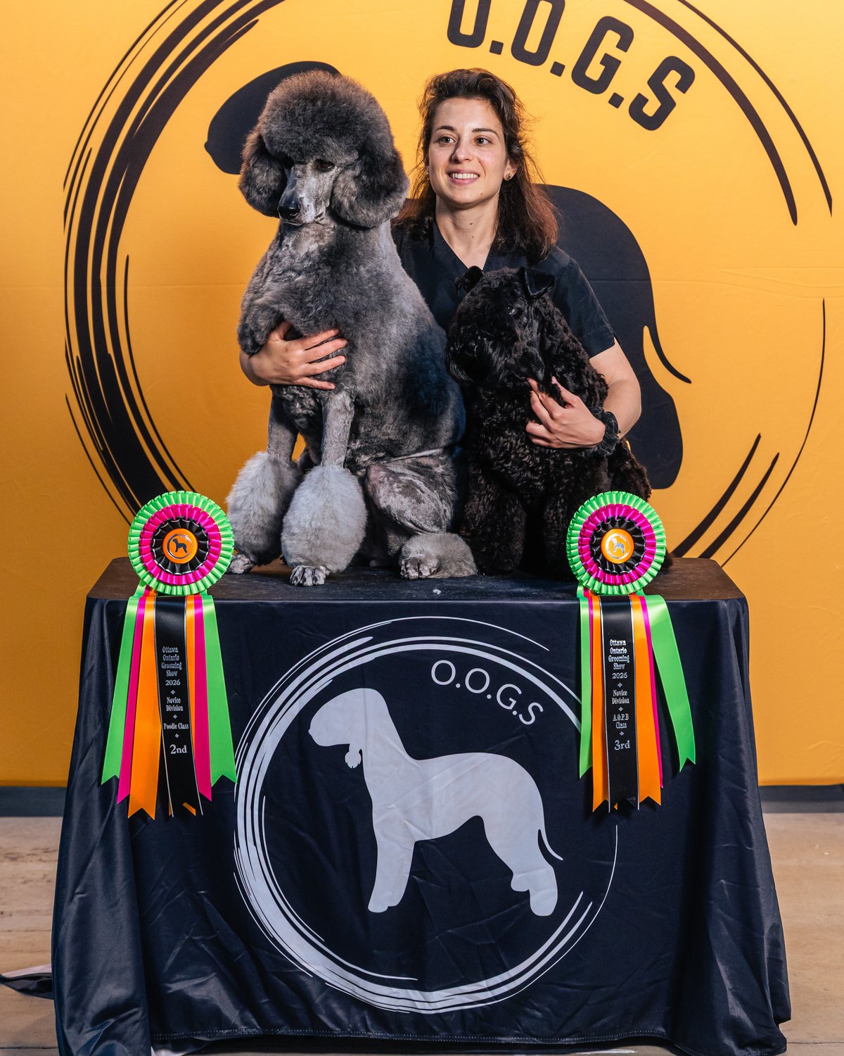 Freddie, owner and groomer at Spaghetti Poodles, holding a grey standard poodle and a black terrier beside two award ribbons at the O.O.G.S. Ottawa Ontario Grooming Show.